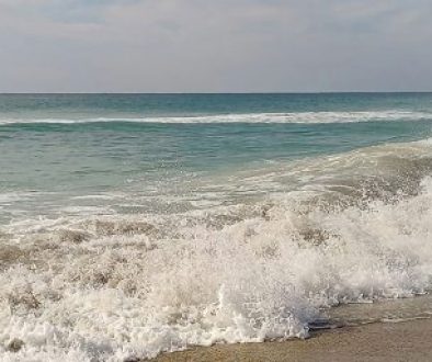 Tidal-scape-1920x480