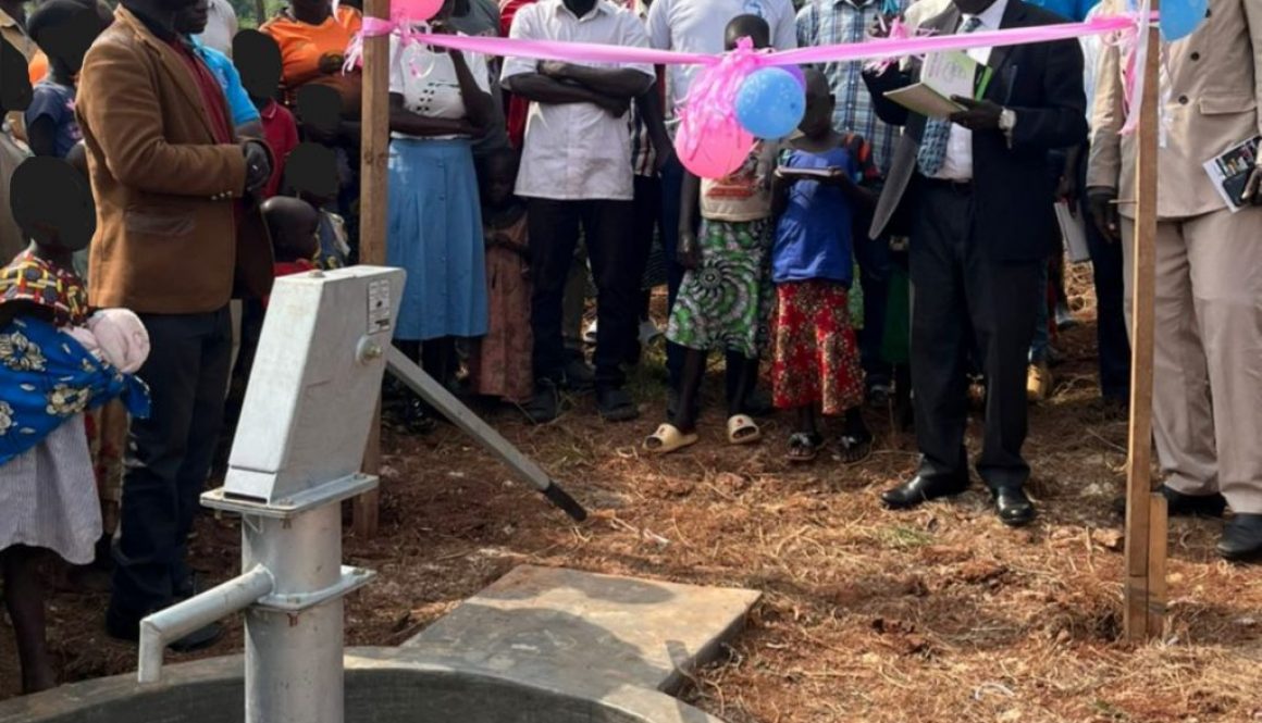 Borehole #1c