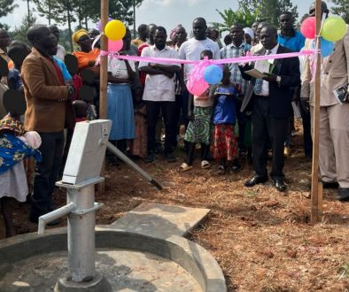 Borehole #1c